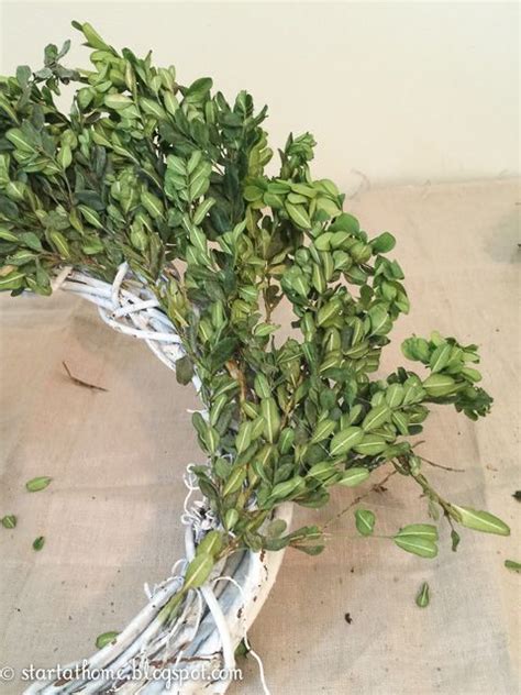 Step By Step Tutorial On How To Preserve And Make A Boxwood Wreath On A