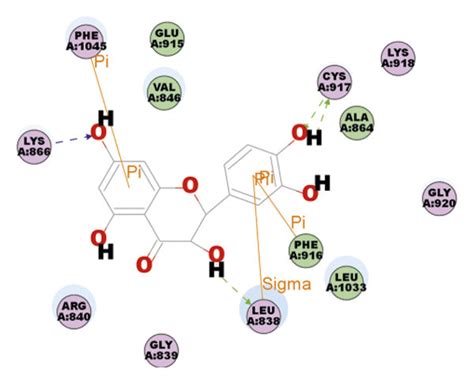 Molecular Docking Validation Results The Binding Modes And Binding