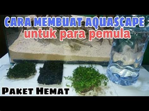 Cara Membuat Aquascape Air Terjun Untuk Pemula Beinyu