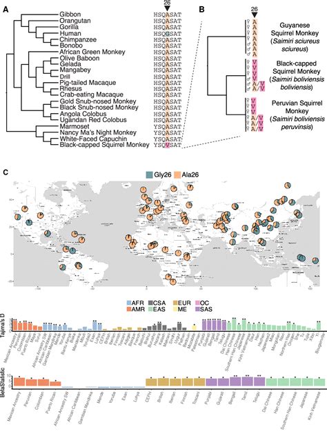 Figure 3 From Rapid Evolution Of Glycan Recognition Receptors Reveals