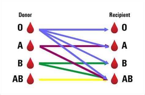 What is the most common blood type?