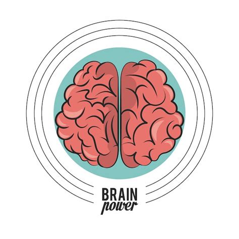 Premium Vector | Brain power cartoon isolated