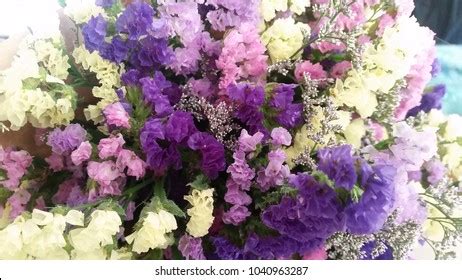 Statis Flower Bouquet Stock Photo (Edit Now) 1040963278