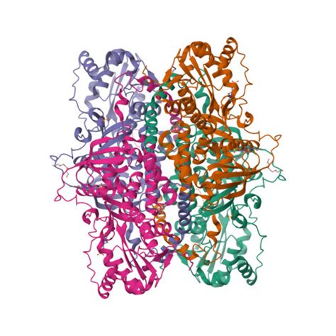 Rcsb Pdb 5us8 215 Angstrom Resolution Crystal Structure Of