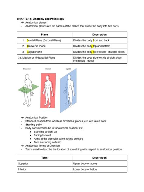 Chapter 6 Anatomy And Physiology Pdf Anatomical Terms Of Motion