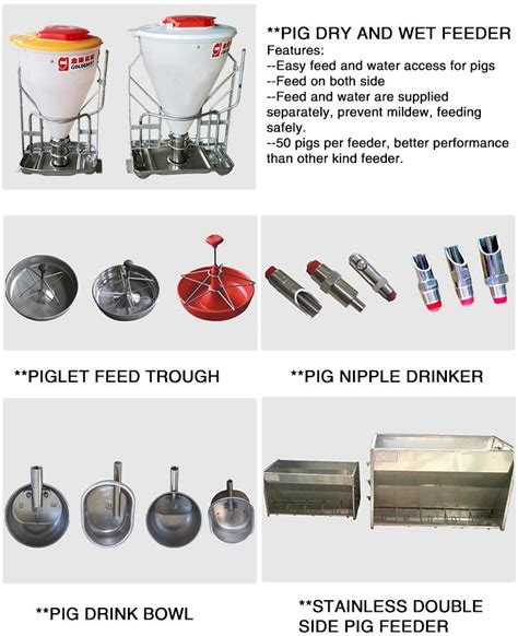 China Pig Feeding And Farming Equipment Line System Manufacturers and ...