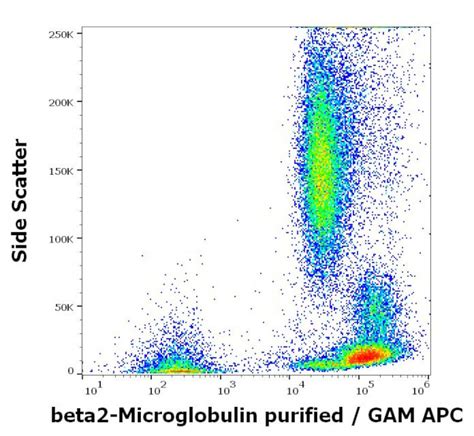 Beta 2 Microglobulin Monoclonal Antibody B2m 01 Ma1 19141