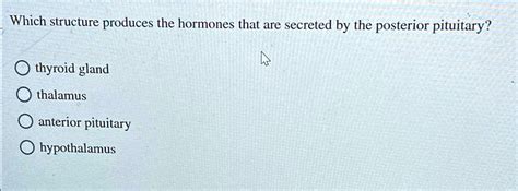 structure produces  hormones   secreted