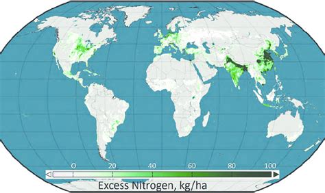 Global Distribution Of Excess Nitrogen Application To Agricultural