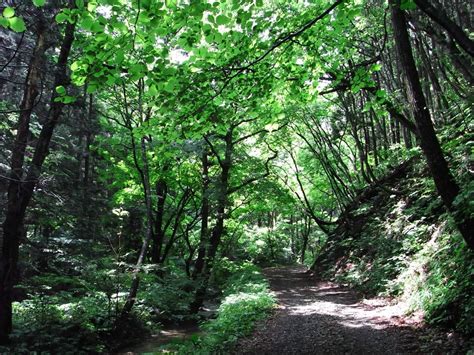 太田薬師コース Ecoもりおか 盛岡市環境部のウェブサイト