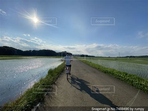 田舎道の写真・画像素材 7488490 Snapmart（スナップマート）