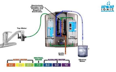 A Guide On Alkaline Water Machine - Wow ionic