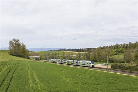 RABe 515 036 der BLS zwischen Schüpfen und Suberg Grossaffoltern