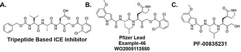 Scientists Discover Novel Series Of Sars Cov 2 Mpro Inhibitors For