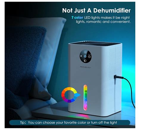 The Best 5 Dehumidifiers for the Home