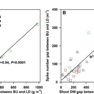 The Relationship Between The A Grain Yield G M 2 Gap And Shoot