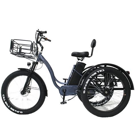 Three Wheel Electric Cargo Bike 48v 10ah 350w Electric Bicycle Aluminum ...