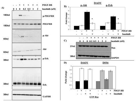 Imatinib inhibits medulloblastoma cell Akt and Erk1/2 activation in a ... 
