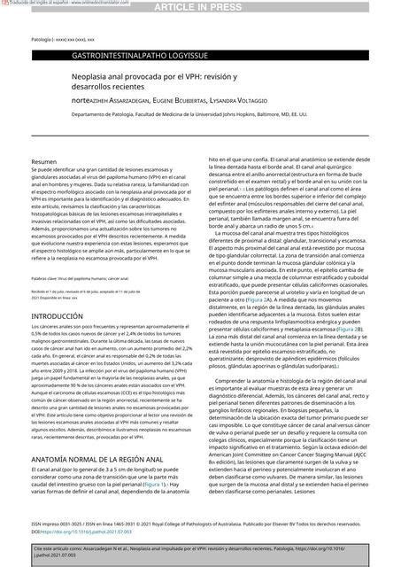 Neoplasia Anal Provocada Por El VPH Paola Escamilla UDocz