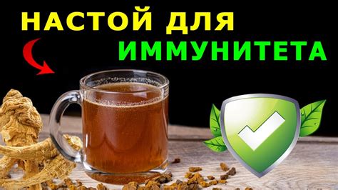 Как ВОССТАНОВИТЬ ИММУНИТЕТ и здоровье после антибиотиков – лучший ...
