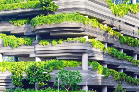 Eco Brutalism Explained: What Is It and Is It Sustainable?