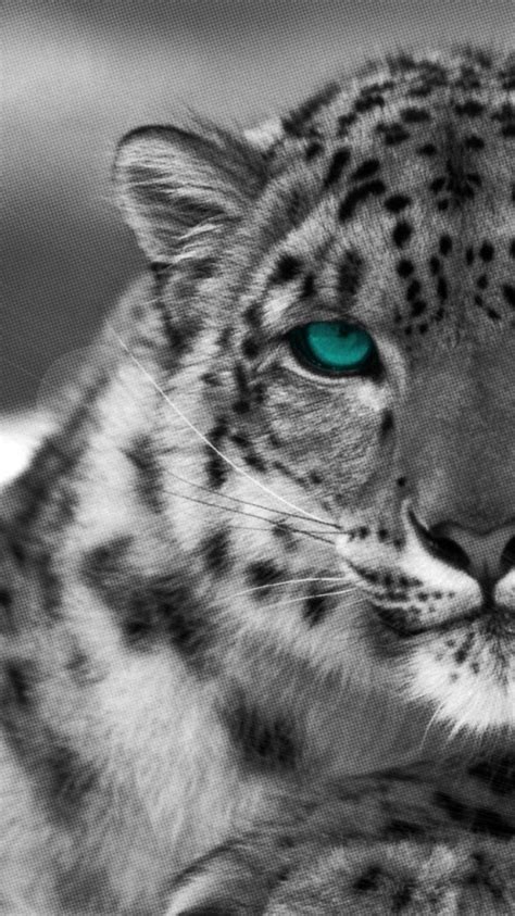 Snow Leopard iPhone Wallpapers - Top Free Snow Leopard iPhone ...