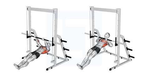 Inverted Row Guide Benefits And Form