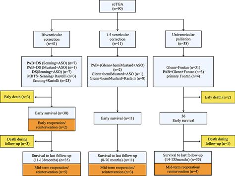 Frontiers Congenitally Corrected Transposition Of The Great Arteries