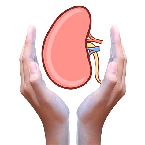 treatment for kidney disease: Why Do People with Chronic Kidney Disease