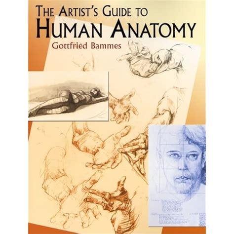 15 Anatomy Drawing Books Ilonakellan