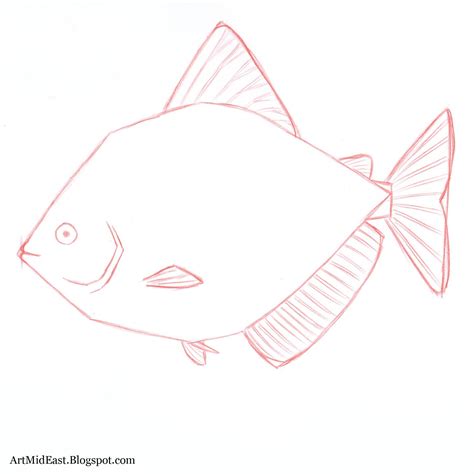 How to Draw a Fish: Step by step | Drawing Lessons