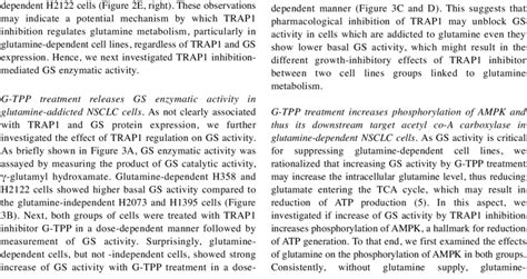 Non-small cell lung cancer (NSCLC) cell lines are selectively sensitive ... 