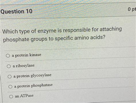 Solved Question Which Type Of Enzyme Is Responsible For Chegg