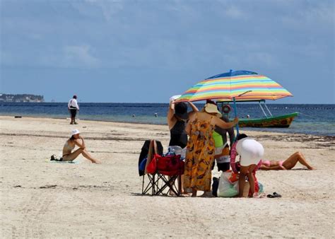 Gobierno De Puerto Morelos Redobla Acciones Para Mantener Limpias Las