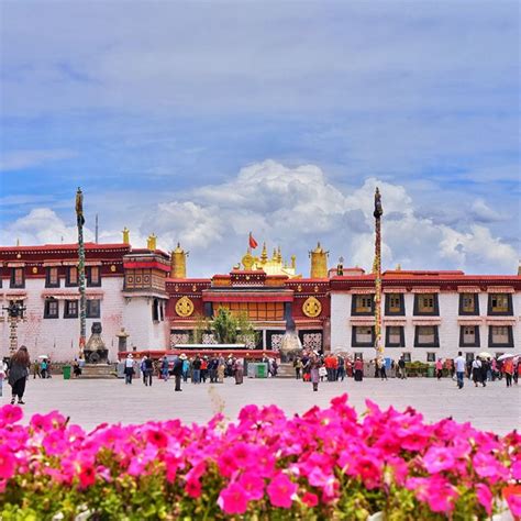 Jokhang Temple | Tibet travel, World cultural heritage, Tibet