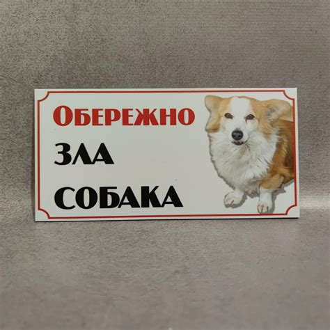 Табличка Осторожно злая собака 200х100 мм от Мир стендов - 2086546939