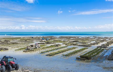 Parc Huitres Chf Aquaculture