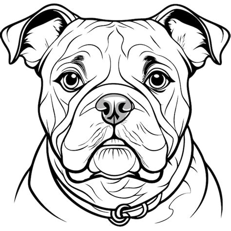 Zwarte Omtrek Afbeelding Van Een Hond PNG Tekening Van Een Hond Hond