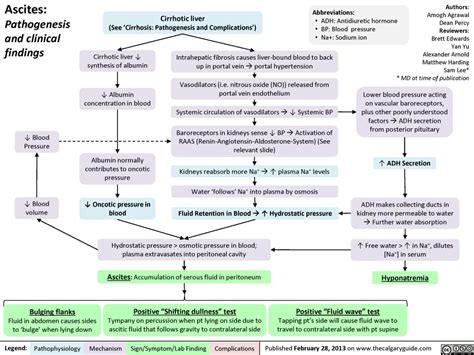 Ascites Pathogenesis And Clinical Findings Calgary Guide