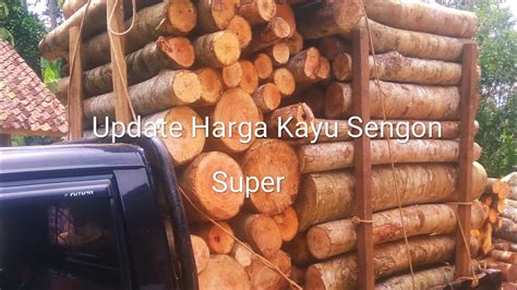 Update Harga Log Sengon Dengan Panjang 130100 Di Tahun 2023kayusengon