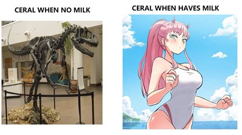 cereal when weeb | Cereal When Haves Milk | Know Your Meme