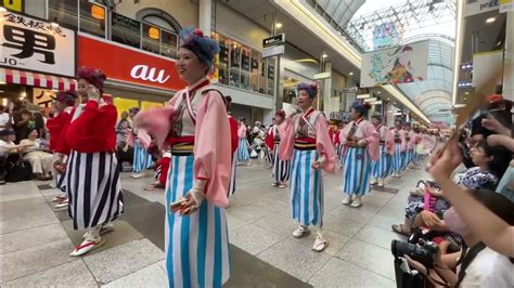 2023年高知よさこい祭り全国大会 帯屋町筋 だるま Youtube