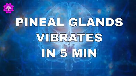 Pineal Gland Vibrates In 5 Minutes Causing MASS Endorphin Release 1 5