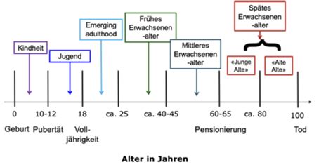 Entwicklung Einf Hrung Karteikarten Quizlet