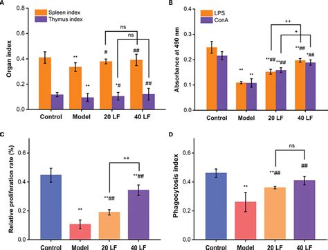 Frontiers Effects Of Fucoidan Isolated From Laminaria Japonica On