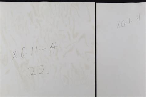 Lot Bob Mizer Amg Male Nude Photographs