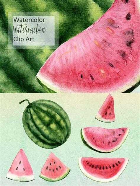 Watercolor Watermelon Clip Art Clip Art Watercolor Watermelon