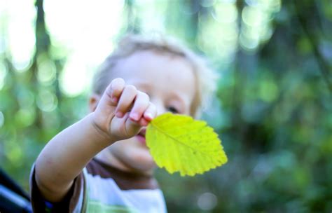 What is the carbon footprint of plastic?