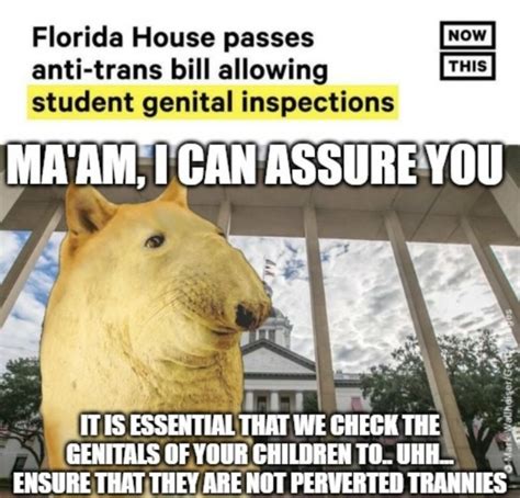 What In The Actual Fuck Meme By MarKenobi Memedroid