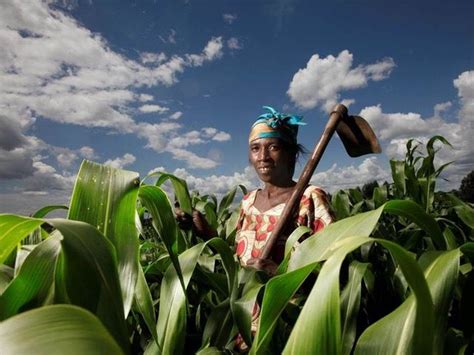 Empowering Smallholder Farmers For Sustainable Agriculture